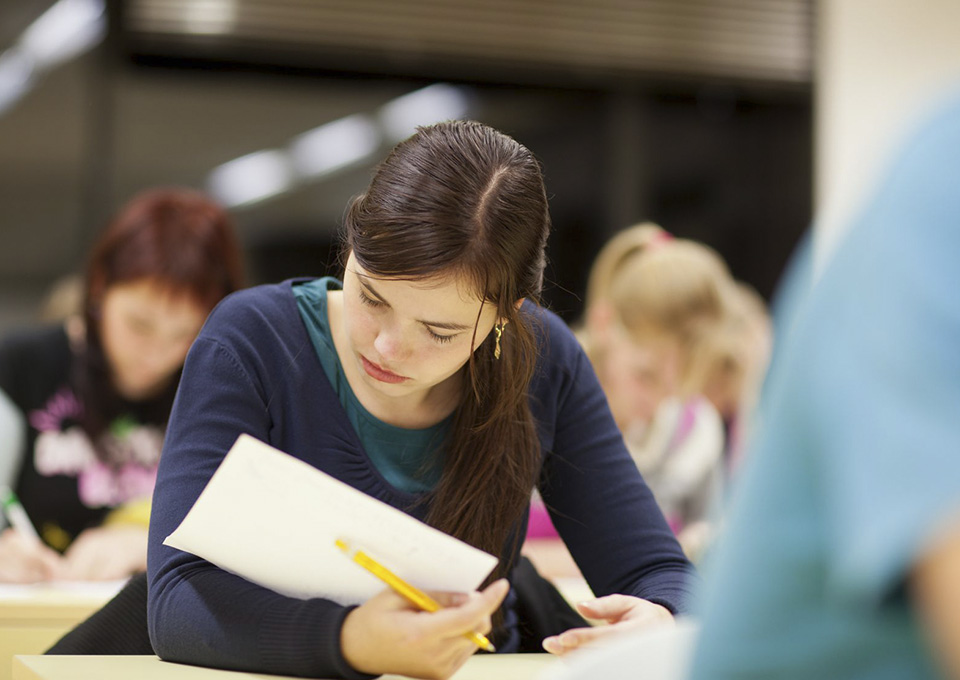 Curabitur Pellentesque eu nibh mi a pellentesque et Vestibulum