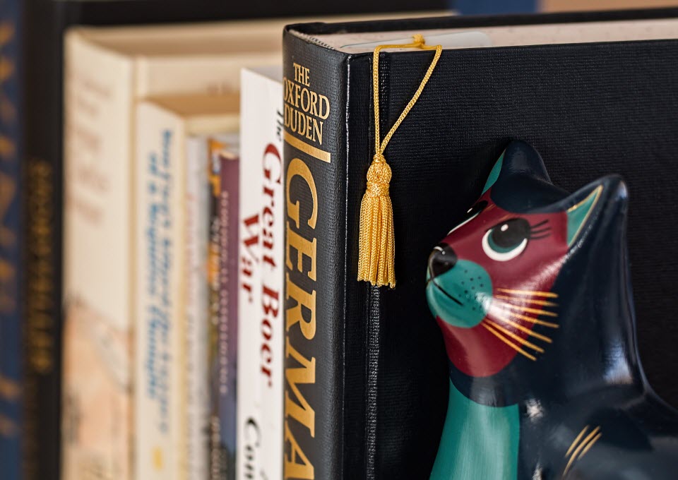 Quisque viverra tellus eget erat hendrerit, non lacinia turpis iaculis.